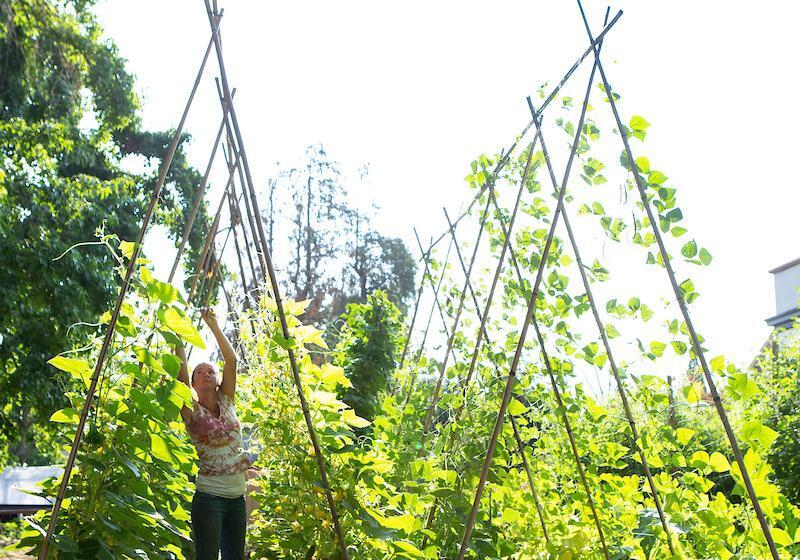 Szálloda Mcmenamins Grand Lodge