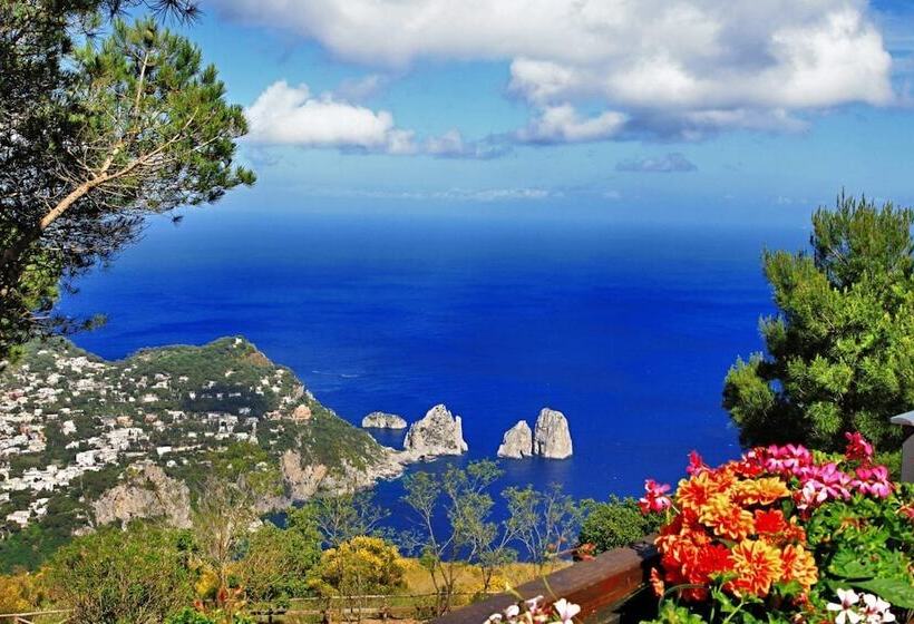 تختخواب و صبحانه La Ninfa Di Capri