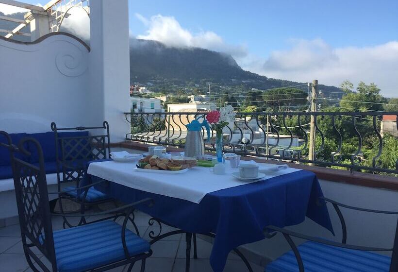 تختخواب و صبحانه La Ninfa Di Capri