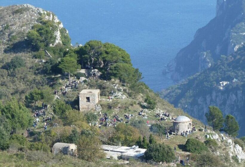 تختخواب و صبحانه La Ninfa Di Capri