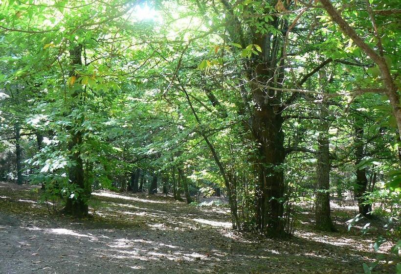 민박 Da Franco Relax & Pool