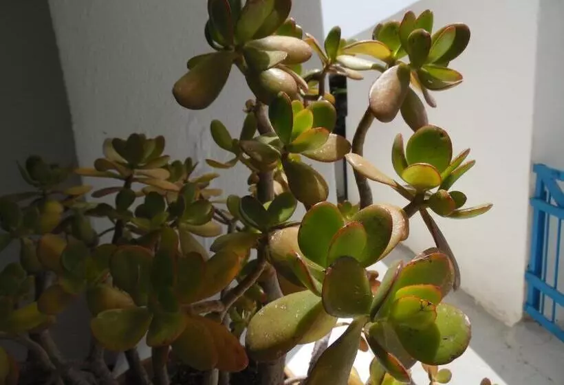 ベッドアンドブレックファースト Da Franco Relax & Pool