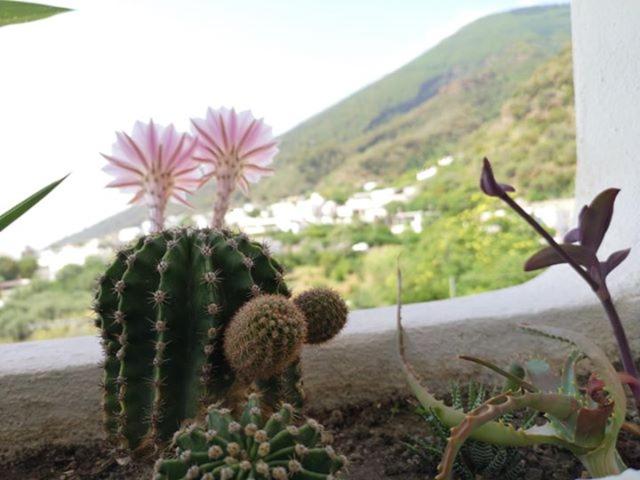 민박 Da Franco Relax & Pool