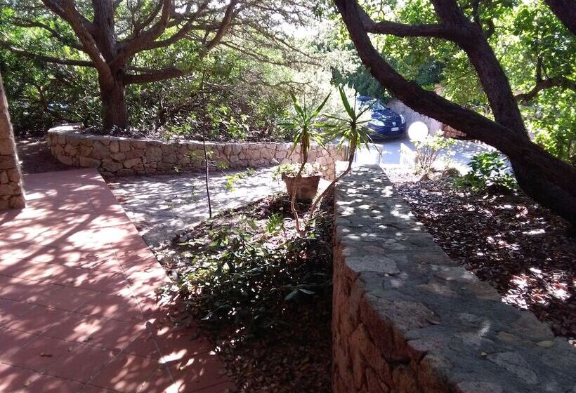 Хостел Villette Close Up Rena Majore