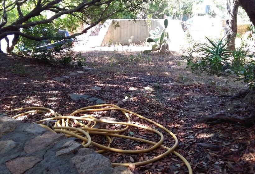 Хостел Villette Close Up Rena Majore