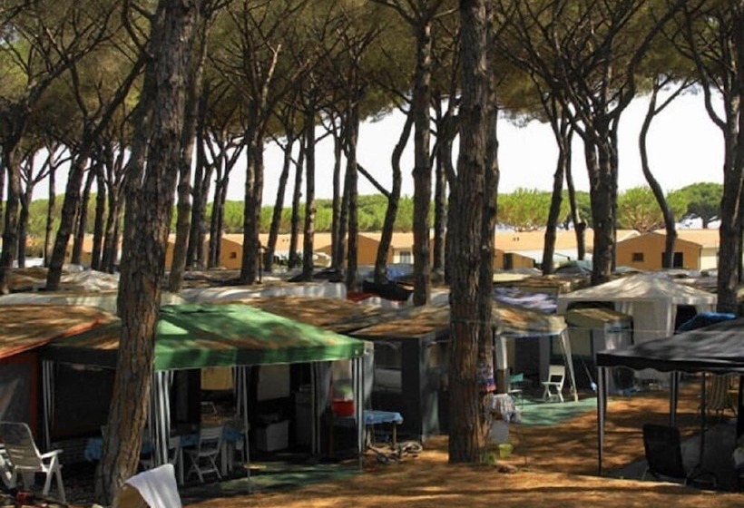 בית מלון כפרי Camping Village Marina Chiara