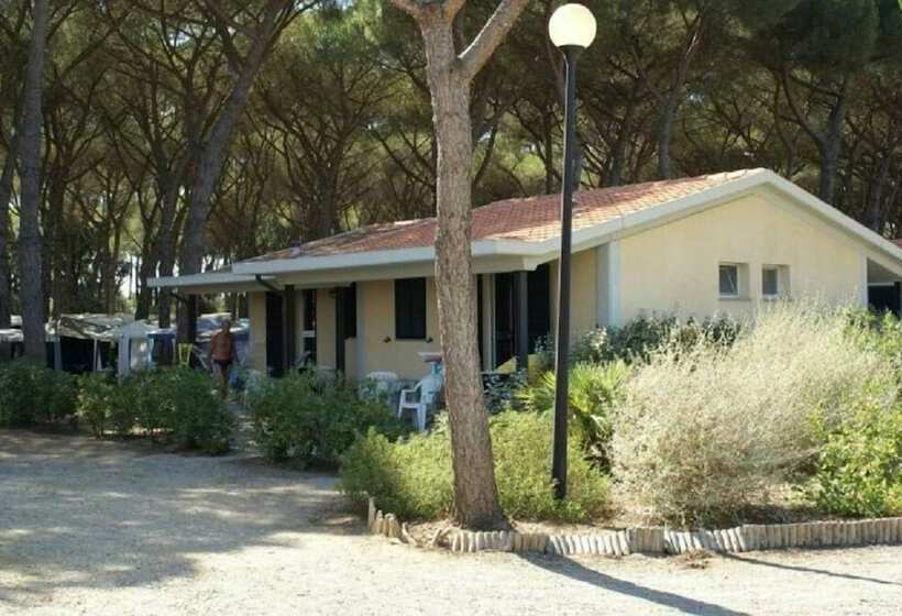 בית מלון כפרי Camping Village Marina Chiara