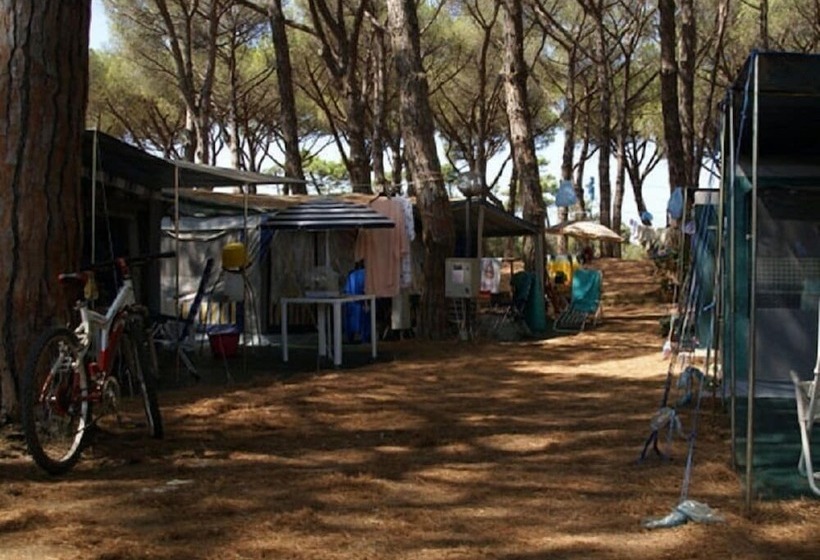 בית מלון כפרי Camping Village Marina Chiara