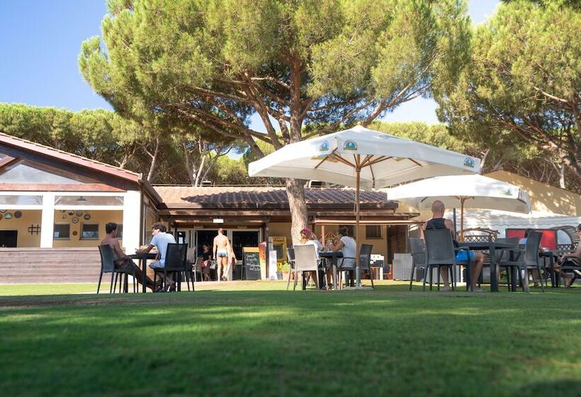 בית מלון כפרי Camping Village Marina Chiara