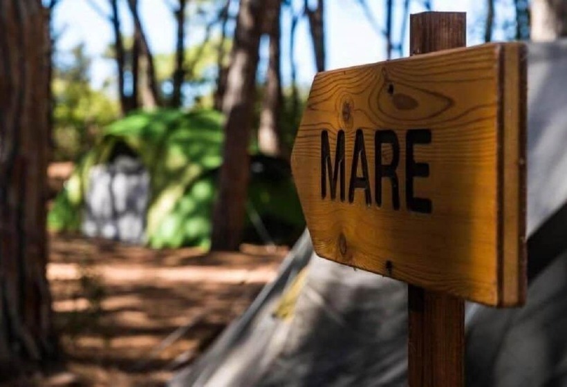 בית מלון כפרי Camping Village Marina Chiara