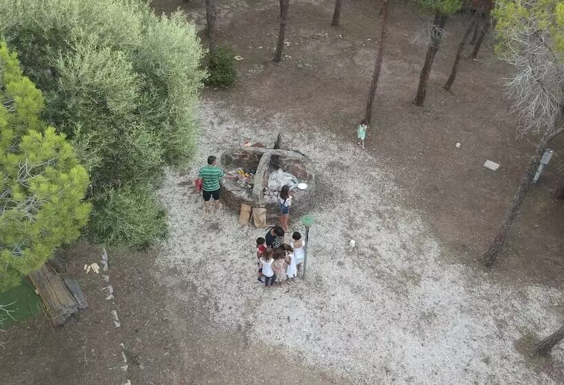 ホテル Villaggio Camping Calapineta