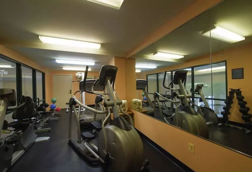 D. Hotel Suites & Spa