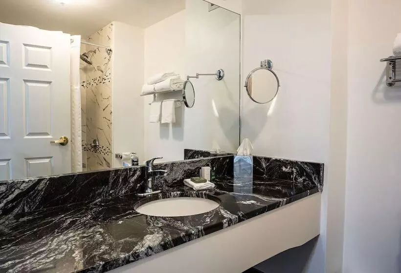 D. Hotel Suites & Spa