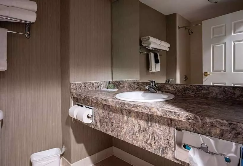 D. Hotel Suites & Spa