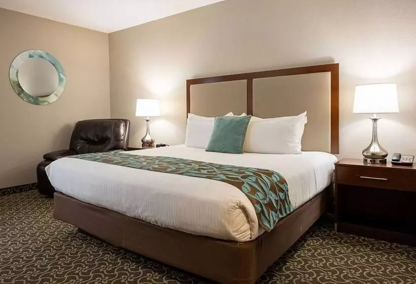 D. Hotel Suites & Spa