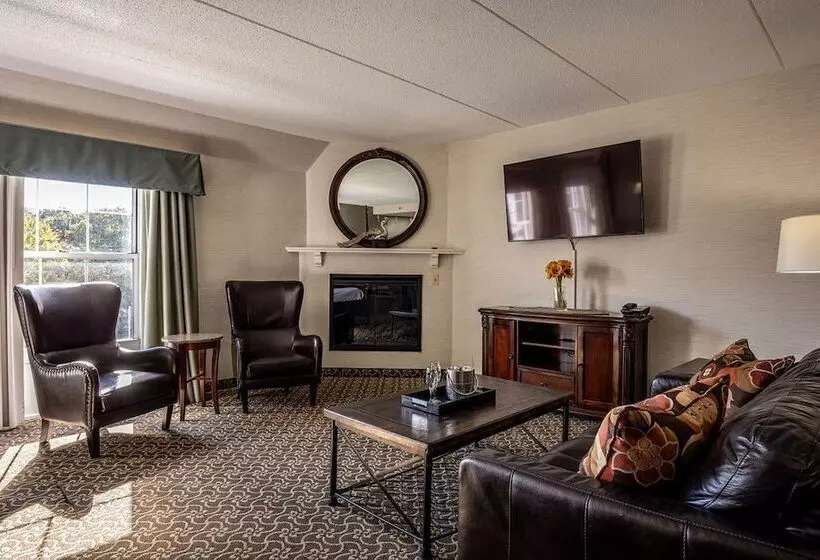 D. Hotel Suites & Spa