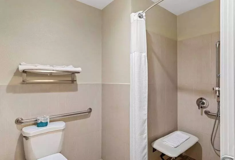 酒店 Best Western Paradise