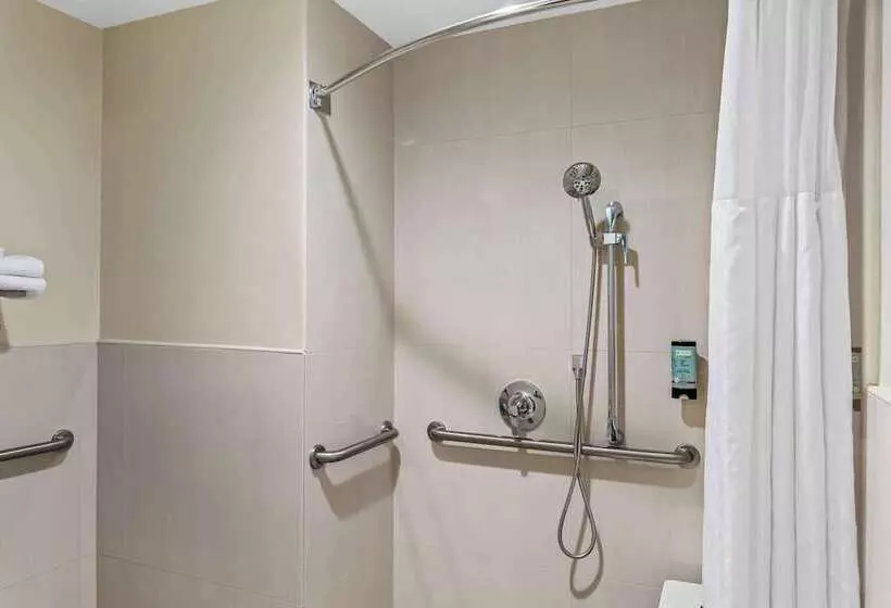 酒店 Best Western Paradise