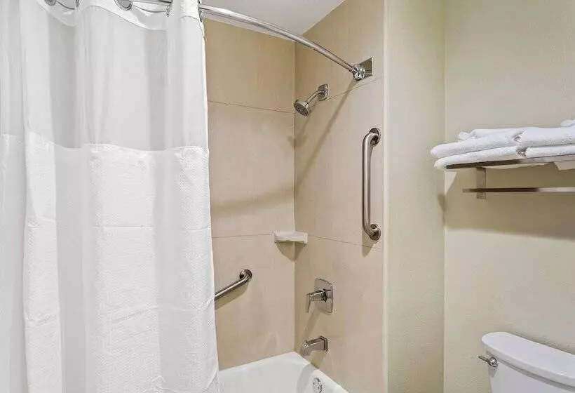 酒店 Best Western Paradise