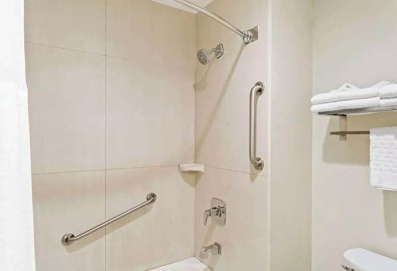 酒店 Best Western Paradise