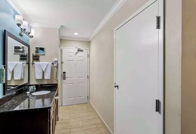 酒店 Best Western Paradise