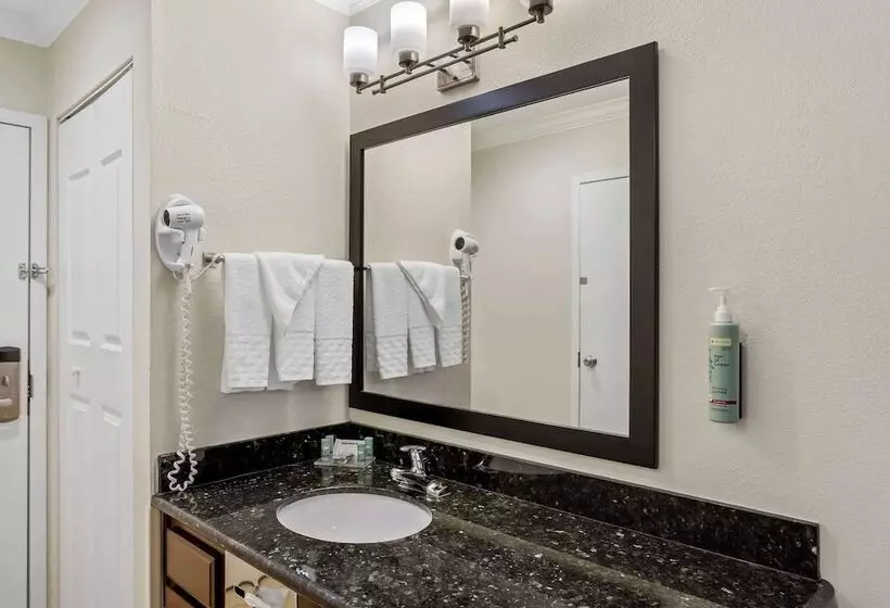 酒店 Best Western Paradise