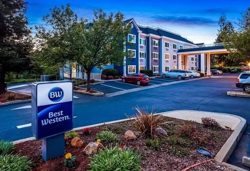 酒店 Best Western Paradise