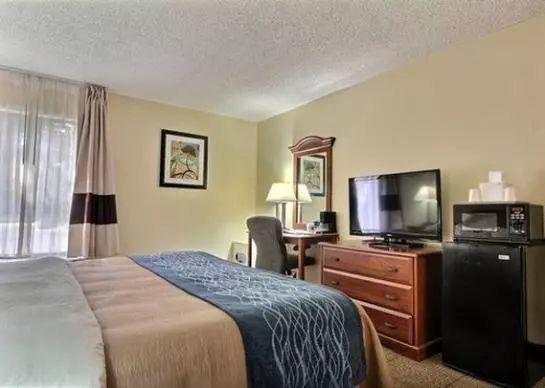 酒店 Comfort Inn Darien