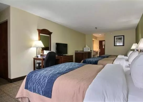 酒店 Comfort Inn Darien