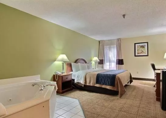 酒店 Comfort Inn Darien