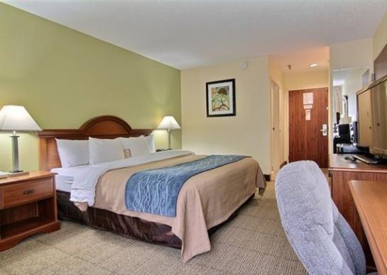 酒店 Comfort Inn Darien