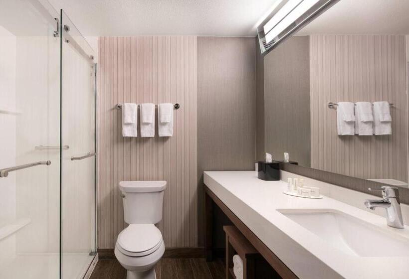 Szálloda Courtyard Denver Airport At Gateway Park