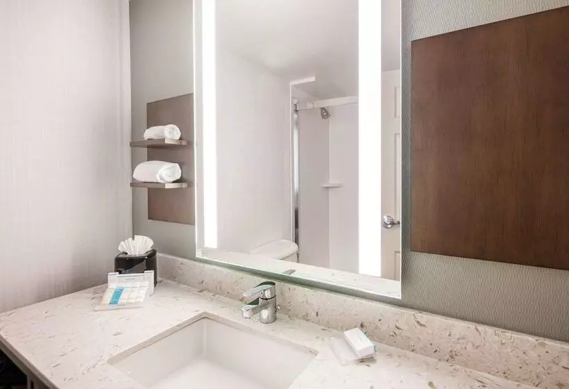 ホテル Hilton Garden Inn Bwi Airport