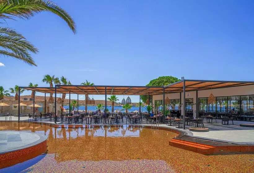 ホテル Marvida Senses Very Chic Bodrum Adult Only