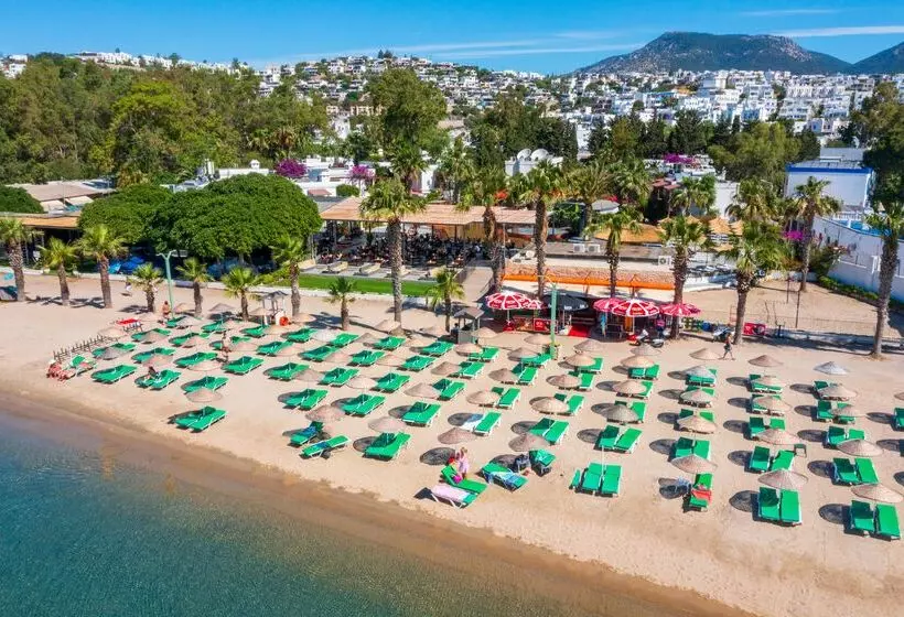 ホテル Marvida Senses Very Chic Bodrum Adult Only