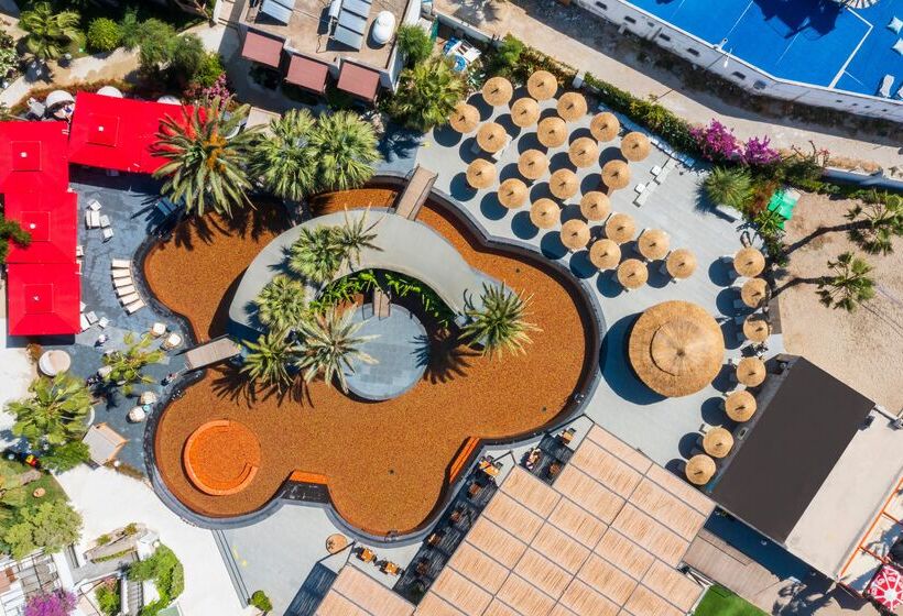 בית מלון כפרי Marvida Senses Very Chic Bodrum Adult Only