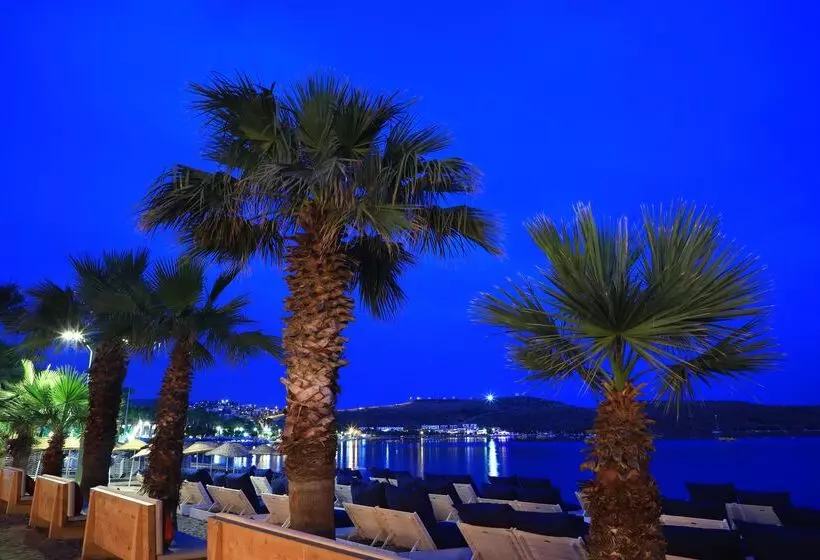 ホテル Marvida Senses Very Chic Bodrum Adult Only