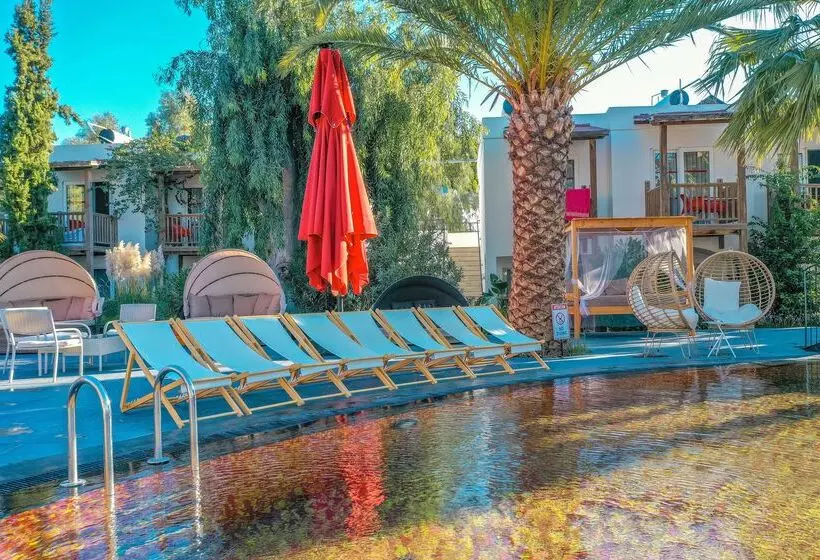 ホテル Marvida Senses Very Chic Bodrum Adult Only