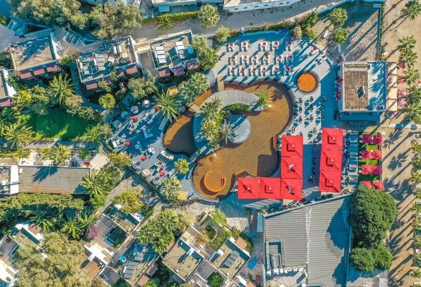 ホテル Marvida Senses Very Chic Bodrum Adult Only