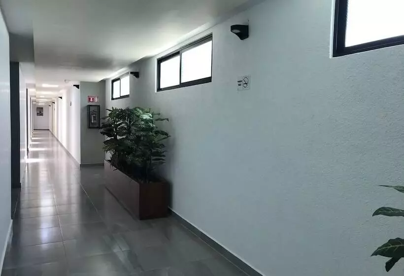 هتل Boutique La Toja Campeche