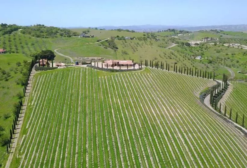 ペンション Aterno Vineyard, Guest House