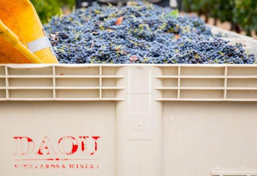 بنسيون Aterno Vineyard, Guest House