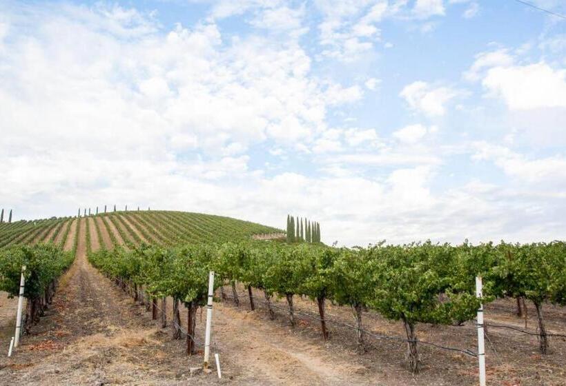 بنسيون Aterno Vineyard, Guest House