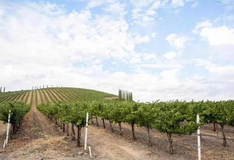 ペンション Aterno Vineyard, Guest House