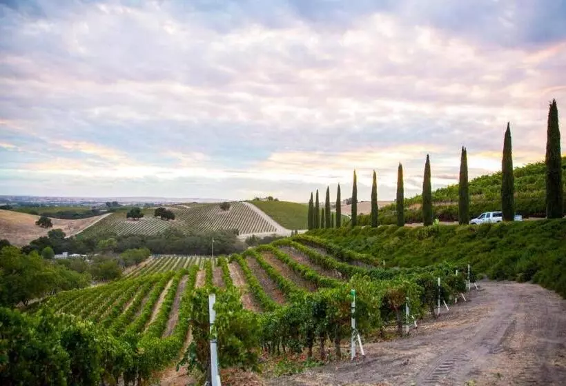 ペンション Aterno Vineyard, Guest House