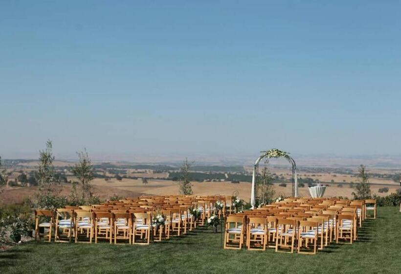 بنسيون Aterno Vineyard, Guest House