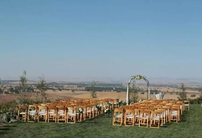 ペンション Aterno Vineyard, Guest House