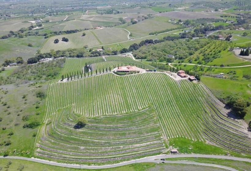 بنسيون Aterno Vineyard, Guest House