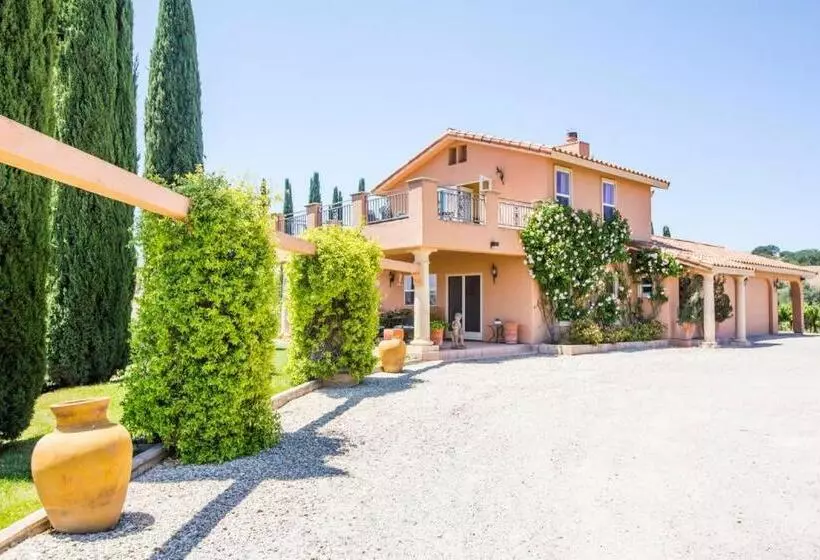 ペンション Aterno Vineyard, Guest House