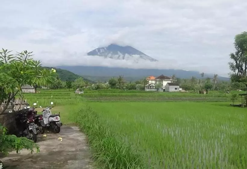 ユースホステル Agung Inn Amed
